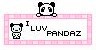 i-luv-pandaz.jpg